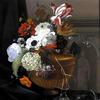 花坛的静物