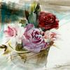 玫瑰花束