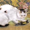 猫和鸟