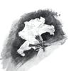 白杜鹃
