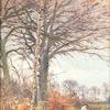 秋天拾柴
