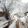 圣菲雪