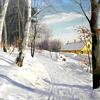 有房子的积雪路