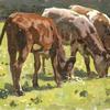 三头牛在田里吃草