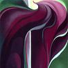 Jack-in-the Pulpit Abstraction -  No. 5