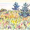 35号水彩画，有两棵松树的田野
