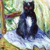 黑猫