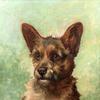 猎犬的头
