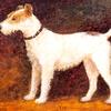 猎犬肖像（Vie）