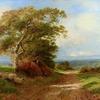 Ewhurst Hill, Surry