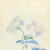 长春花