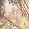 迪安·沃特，爱丁堡，来自艺术家工作室
