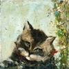 猫头