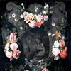 卡托奇与圣母，孩子和圣安妮