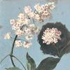 栗子花和白色和粉色康乃馨的枝条