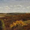 荒野上的黄花