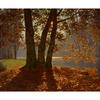 End of October,  Bois de Boulogne