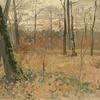 Trees near Lubeck
