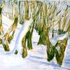雪地里崎岖的树干