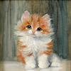 小猫