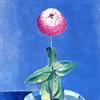 碗里的花
