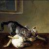 猫和死兔子
