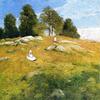 Summer Afternoon, Shinnecock Landscape