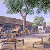 猎豹和猞猁的街道，乌尔瓦尔，印度1878
