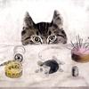 女装猫