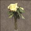 静物画：一朵黄玫瑰