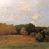 夏树线