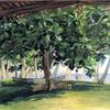 从小屋看，乌波卢瓦伊拉，面包果树，战鼓和独木舟，1890年11月19日