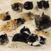 猫的习作