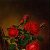 鲜花静物画：红玫瑰