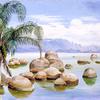 巴西里约热内卢湾的棕榈树和巨石