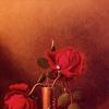 青铜花瓶里的两朵红玫瑰