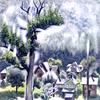 商场东南景