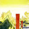 展望公园的光影