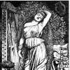 Danae in the Brazen Chamber
