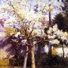 Trees at Gertz