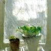 新芽