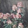 杜鹃花