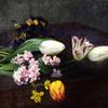 桌上的风信子、郁金香和三色堇