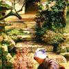 在花园里