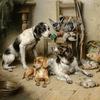 一只英国猎犬，一只达克斯猎犬和一只英国斯普林格猎犬