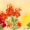 虎百合与黄花