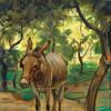 橄榄树下的驴子