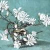 静物鲜花