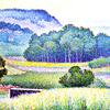 绿树成荫的风景