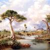 风景